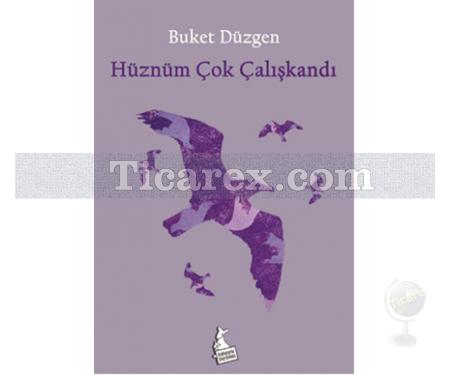 Hüznüm Çok Çalışkandı | Buket Düzgen - Resim 1