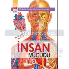 İnsan Vücudu | Kolektif