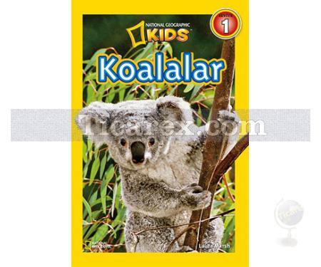 Koalalar | Seviye 1 | Laura Marsh - Resim 1