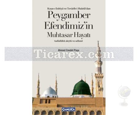 Peygamber Efendimiz'in Muhtasar Hayatı | Ahmed Cevdet Paşa - Resim 1