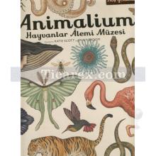 Animalium - Hayvanlar Alemi Müzesi | Katie Scott, Jenny Broom