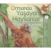 Ormanda Yaşayan Hayvanlar | ( Ciltli ) | Jinny Johnson, Nicki Palin