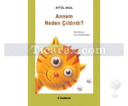 Annem Neden Çıldırdı? | Aytül Akal - Resim 1